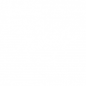DigiWhat Company Logo